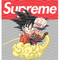 Brand Catalog-ZX 1000